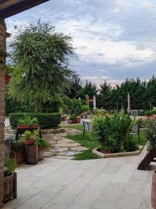 科蒂尼奥拉Casale Boschi - Rifugio di Pianura的花园设有长椅和桌子,还有一棵树