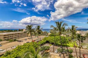 维雷亚Kihei Akahi的棕榈树度假村的空中景致