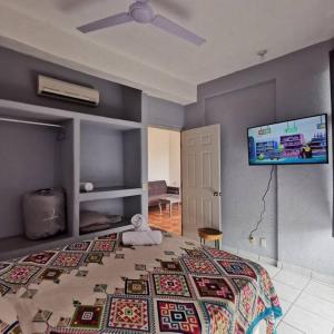 锡瓦塔塔内霍1 BR APT with AC , TV , wi-fi near DT and beach的一间卧室配有一张床和一台平面电视