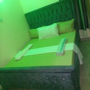 姆特瓦帕La Grande cosy studio apartment的一间卧室配有一张绿色的床和木制床头板