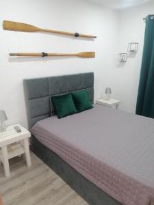 梅桑弗里乌Casa Avós D'Ouro - Barqueiros, Mesão Frio, Douro的一间卧室配有一张带绿色枕头的床和两张桌子