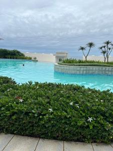 德班The Pearls of Umhlanga - Ocean view Apartments的蓝色的海水和鲜花的度假游泳池