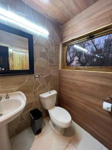 圣佩德罗·德·阿塔卡马Foresta Atacama Lodge的一间带卫生间、水槽和窗户的浴室