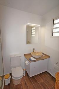 波尔兰特LES HAUTS DE LA BAIE的一间带水槽、卫生间和镜子的浴室