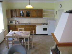 卡罗维发利Modern Apartment in Carlsbad with Garden的厨房配有桌子和桌椅