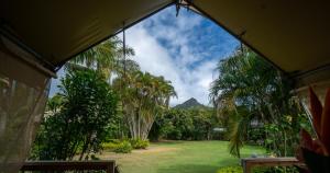 拉罗汤加伊库拉吉环保帐篷酒店的享有棕榈树庭院和山脉的景色