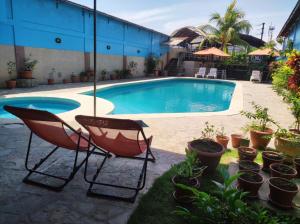 普卡尔帕Hotel Virrey Pucallpa EIRL的一个带两把椅子和盆栽植物的游泳池