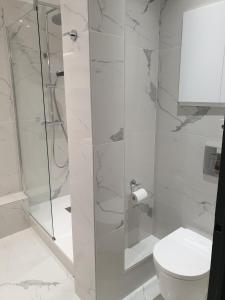 维希Vichy : Le 5e - Appartement design dans un ancien palace的带淋浴和卫生间的白色浴室