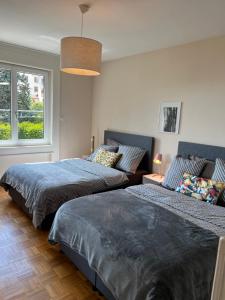 纳沙泰尔Alpes 54的一间卧室设有两张床和大窗户