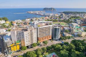 西归浦市Hotel bridge Seogwipo的城市的空中海景