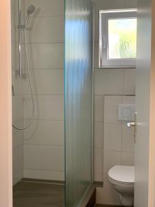 DonzdorfLandhaus am Rehwald的带淋浴、卫生间和窗户的浴室