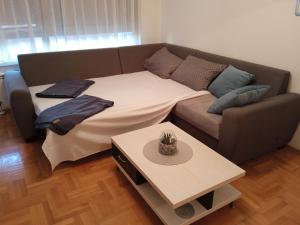 巴尼亚卢卡Apartment Lazarus Banja Luka的客厅配有沙发和一张床