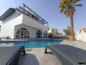 埃拉特YalaRent Ivy Villa with Private Pool的一座别墅,设有游泳池和棕榈树