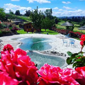 福尔梅洛安格洛迪天堂农家乐的花园里的游泳池,花粉色
