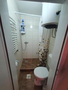 波扎雷瓦茨Bulevar Apartments的一间带卫生间和淋浴的小浴室