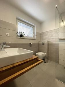 采尔克诺Apartments and rooms pri Bašlju的一间带水槽和卫生间的浴室以及窗户。