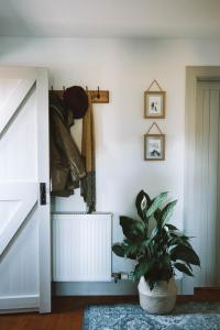 格伦代尔Lon Ban House B&B的一间种植了盆栽植物的房间和一个衣柜