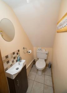 Torpys Cross RoadsBallygown Cottage的一间带卫生间和水槽的小浴室