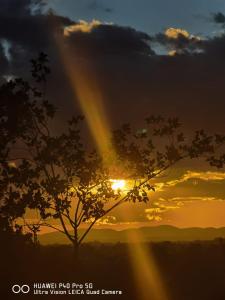 帕雷斯Tramonto Guesthouse的落日前的树,有彩虹