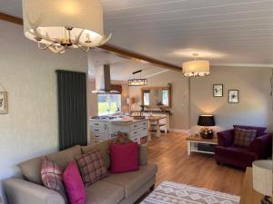 约克Hollicarrs - Dragonfly Lodge的带沙发的客厅和厨房