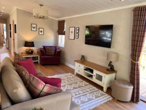 约克Hollicarrs - Dragonfly Lodge的带沙发和电视的客厅
