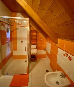 捷克布杰约维采麦杰公寓的带淋浴和盥洗盆的浴室