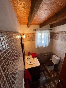 格拉纳迪利亚德亚沃纳Casa Luis Pico的一间带水槽和卫生间的浴室