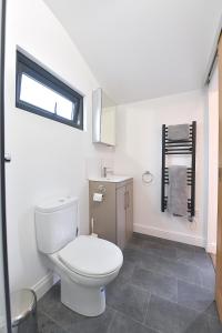 吉尔福德Cheerful 1BD Cottage with Parking Nr Guildford的白色的浴室设有卫生间和窗户。