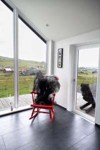 SkálavíkLuxurious cabin / 3 BR / Scenic village的一只狗坐在红色椅子上,看着窗外