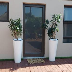 比勒陀利亚Elegant Airbnb的两个盆栽植物坐在门前