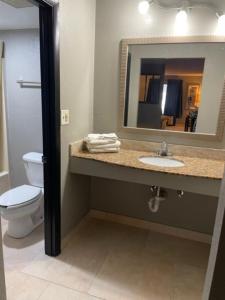 湖城Guest Inn Lake City的一间带水槽、卫生间和镜子的浴室
