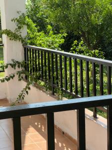 卡利维亚波里吉鲁圣卡塔利娜公寓的树上阳台的黑色栏杆
