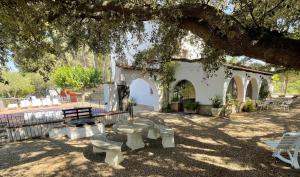 巴尔斯Masia Rural Les Alsines的树下设有桌子和长凳的公园