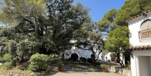巴尔斯Masia Rural Les Alsines的院子里有树木的白色房子