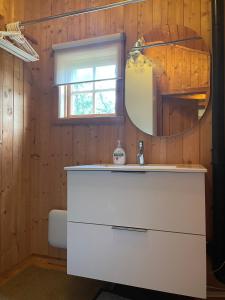 奥普达尔Charming Mountain Cabin的浴室设有白色水槽和镜子