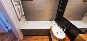 热舒夫Apartament Projektant的一间带水槽和卫生间的小浴室