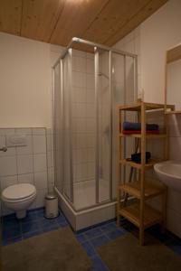 奥茨塔尔Apartment Amberg的带淋浴、卫生间和盥洗盆的浴室