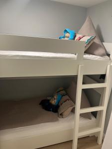 尼布卢姆Landliebe的双层床的下铺配有2个娃娃
