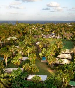 拉罗汤加伊库拉吉环保帐篷酒店的棕榈树度假村的空中景致