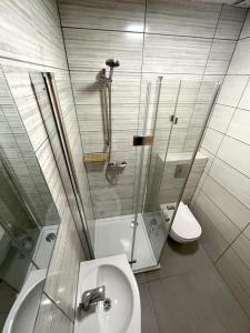 采尔克诺Apartments and rooms pri Bašlju的带淋浴、卫生间和盥洗盆的浴室
