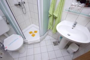 斯拉诺Apartments by the sea Slano, Dubrovnik - 8608的带淋浴、卫生间和盥洗盆的浴室