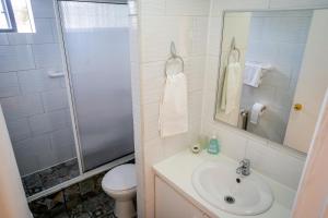 纳塔列斯港露西住宿加早餐旅馆的一间带水槽、卫生间和淋浴的浴室