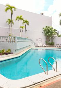 巴兰基亚Hotel Faranda Express Puerta Del Sol Barranquilla, A Member of Radisson Individuals的棕榈树酒店的一个游泳池