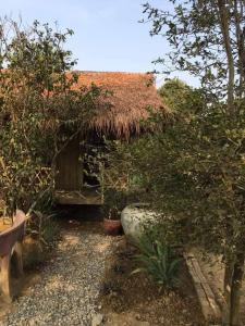 Phumĭ Ândong PringBattambang Eco Stay的茅草屋顶的小小屋和一些植物