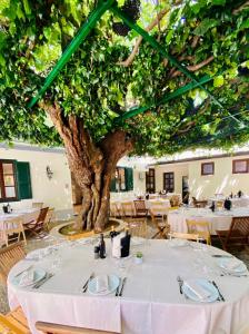 蒙法尔科内Antica locanda al Gelso的中间有树的用餐室
