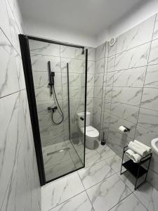 布加勒斯特Hotel Rivoli的带淋浴、卫生间和盥洗盆的浴室