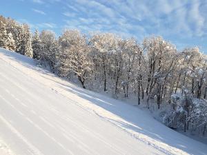 饭山市戸狩温泉村田旅馆的雪覆盖的山坡,有树木在后方