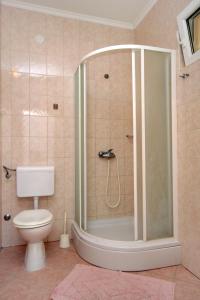 莫鲁纳特Apartments by the sea Molunat, Dubrovnik - 8956的带淋浴和卫生间的浴室