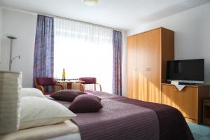 克拉尼斯卡戈拉维拉罗马纳旅馆的酒店客房,配有床和电视