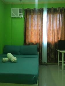 长滩岛Twin AP Homes的绿色的房间里,设有蓝色的沙发,设有窗户